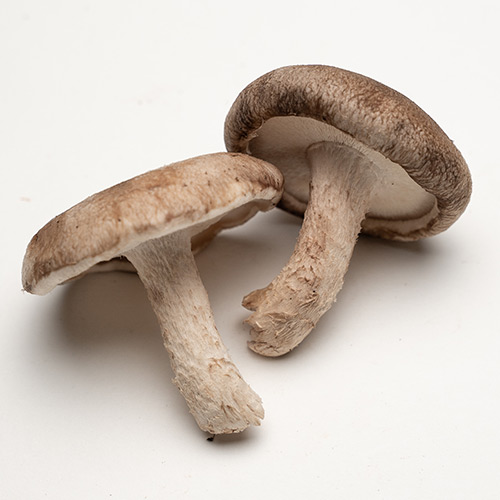 shiitake mushrooms