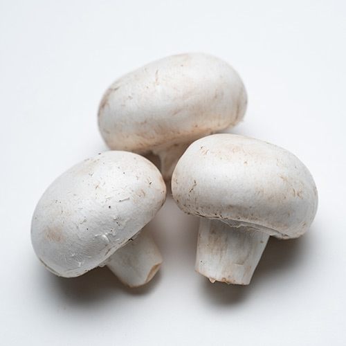 white mushroom