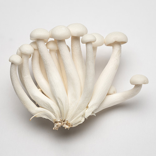 beech mushrooms