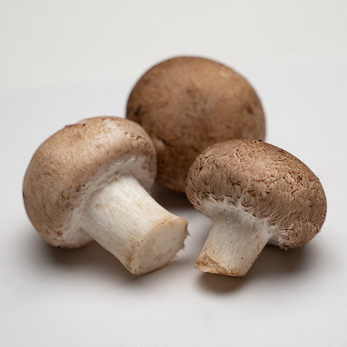 crimini mushroom