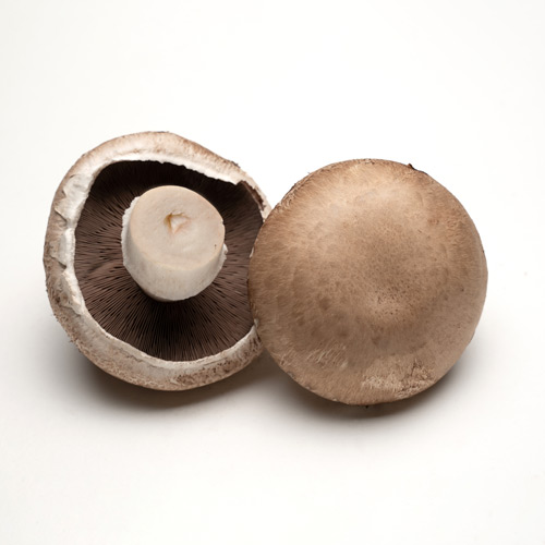 portobella mushroom