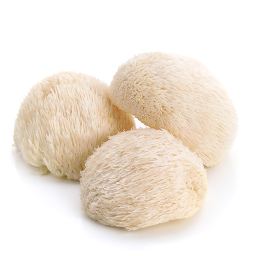 prod_lionsmane_img lions mane